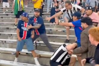 VIDEO. PSG vs Botafogo: Fan Fight Breaks Out in the Stands