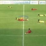 Bee Swarm Halts Friendly Match in Tanzania - Players Hit the Ground